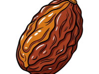 watercolor_style_handdrawn_raisin_illustration_white_background-removebg-preview